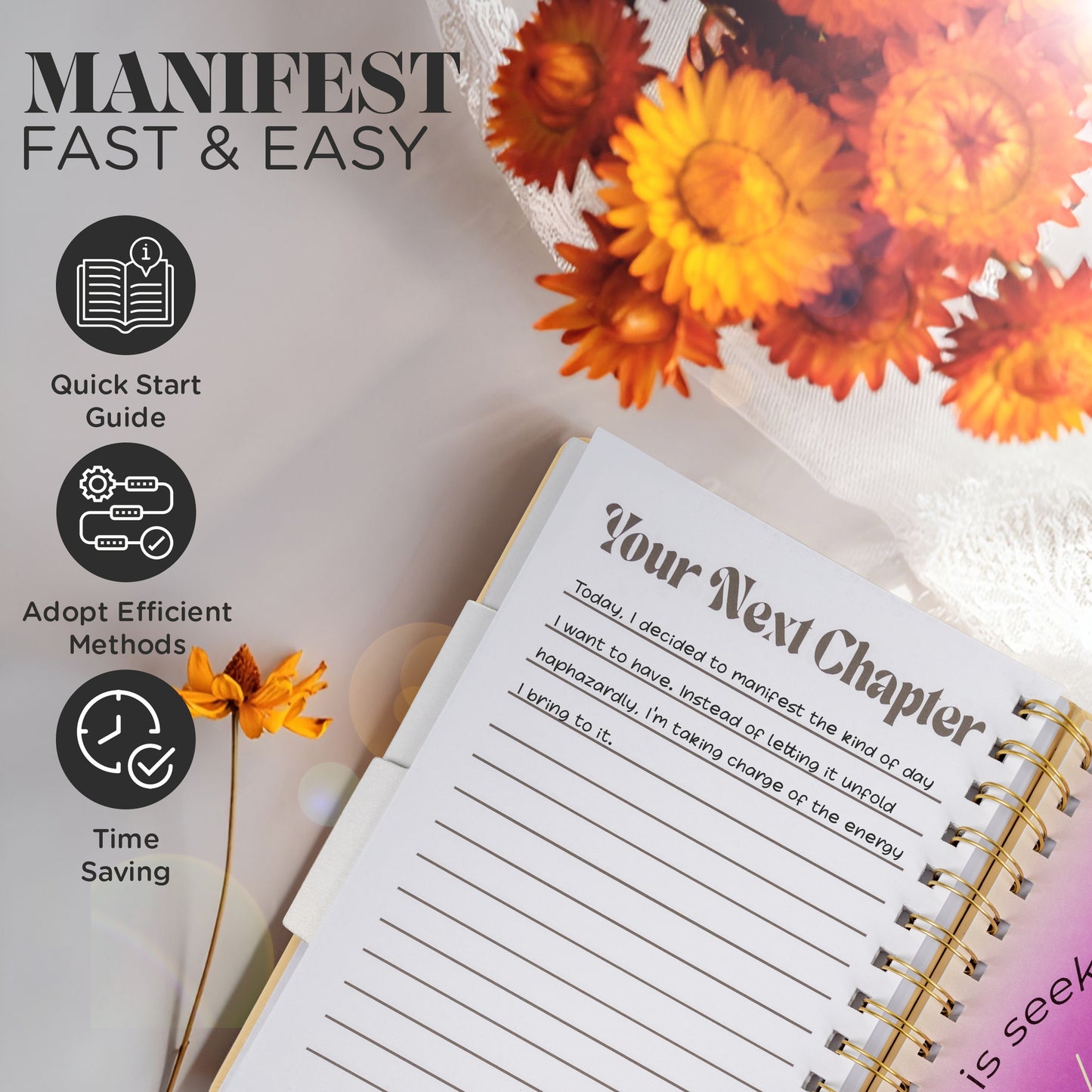 Manifestation Journal